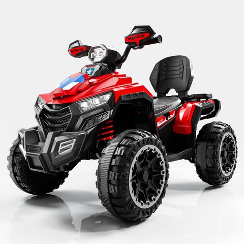 beach-buggy-large view 1