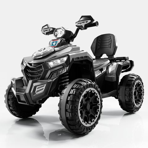 beach-buggy-large view 3