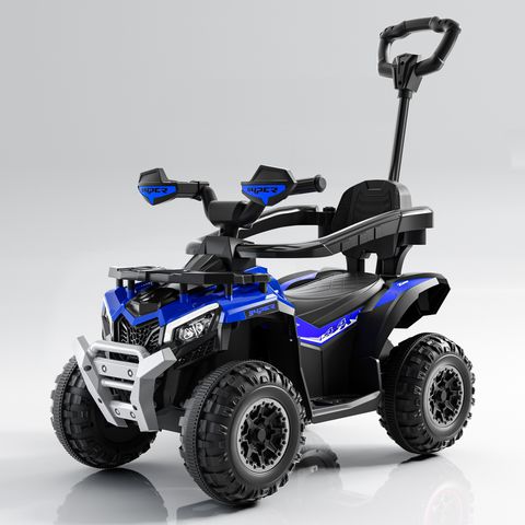 beach-buggy-small view 5